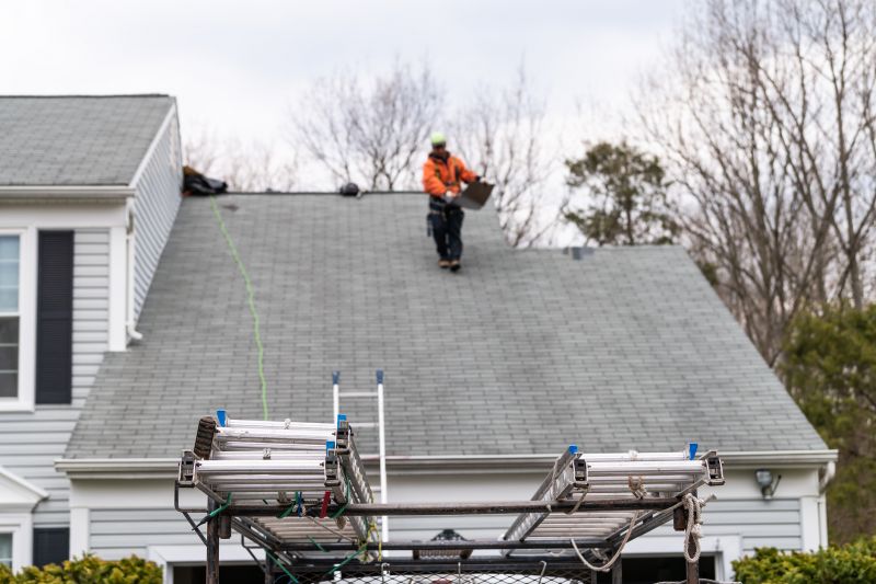 Spring Roofing